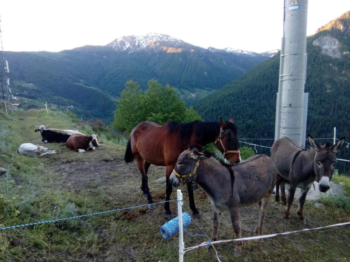 Agri-B&B Lou Col Canosio Eksteriør billede