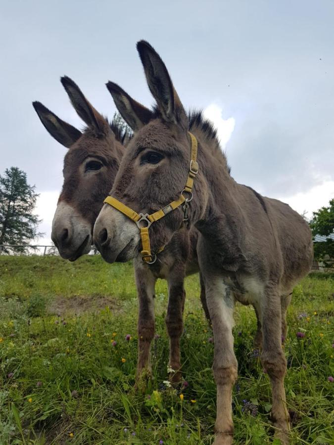 Agri-B&B Lou Col Canosio Eksteriør billede