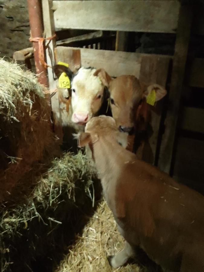 Agri-B&B Lou Col Canosio Eksteriør billede